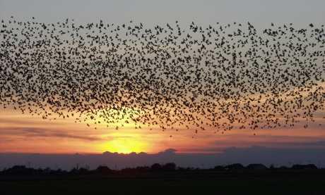 Mladi napustimo Hrvatsku