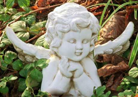 Svećenik koji krade, policije koja surađuje s  kriminalcima  i tajne koje cure iz tajne službe