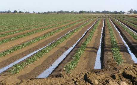 Upis prava vlasništva dosjelošću ili darovanjem?
