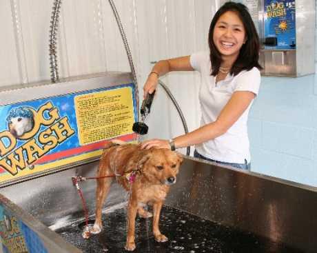 Otvaranje samoposlužne praonice pasa