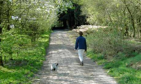 Kantarionom i šetnjom protiv depresije