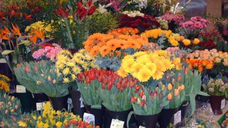 Prodaja cvijeća na Korzu