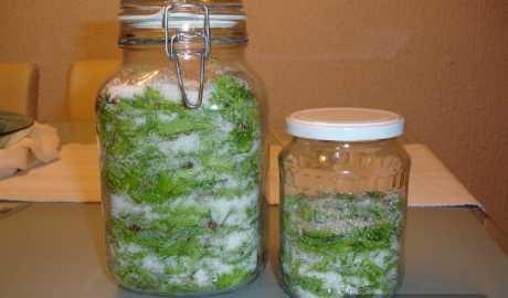 Sirup od borovih iglica