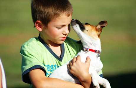 Djeca i psi