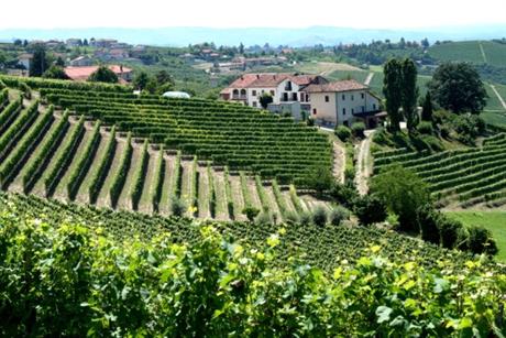 Kako se nasljeđuje imovina iza oca koji ima djecu iz dva braka?