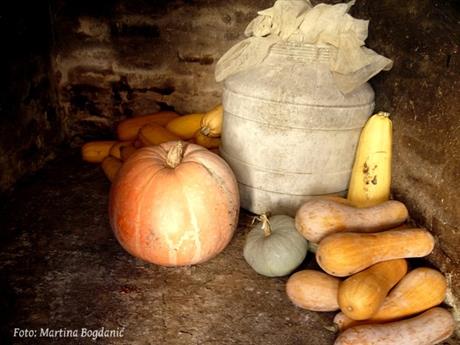 Buča, tikva, bundeva…