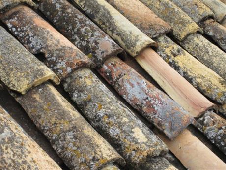 Kako urediti raspodjelu troškova održavanja u zgradi s tri stana?