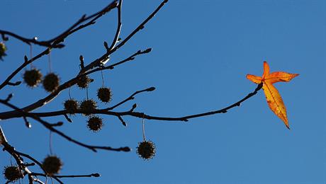 Hrvati su razočarani drugim Hrvatima i demokracijom