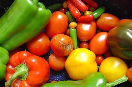 Pravila za krvnu grupu 0