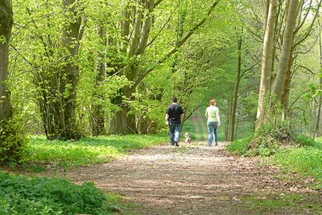 Manjak kisika u tijelu i zakiseljenost organizma