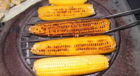 Prodaja kukuruza na plažama u sklopu poljoprivredne zadruge