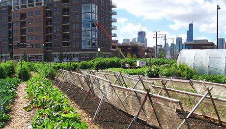 Riječki gradski vrtovi