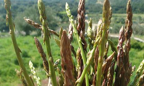 Prilika za novi početak