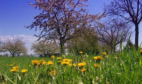 Liberalizacija osiguranja autoodgovornosti