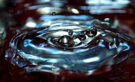 Pogubni učinci žive