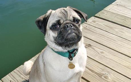 Ispad očne jabučice